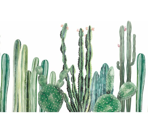Фотообои ООО Ортограф Сactus watercolor 2.99x3 м OF_34345