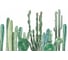 Фотообои ООО Ортограф Сactus watercolor 2.99x3 м OF_34345 2