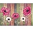 Фотообои ООО Ортограф Poppies and texture 3.97x2.7 м OF_34082 2