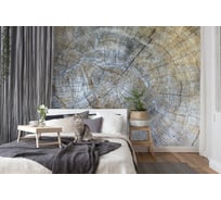 Фотообои 3D Design Studio 3D Древесный узор MC-002300x270