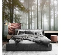 Фотообои 3D Design Studio 3D Туманный лес 400x270 см FN-047_400х270