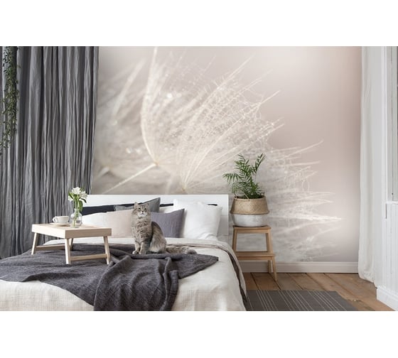 Фотообои 3D Design Studio 3D Одуванчик в росе 400x270 см MC-010_400х270