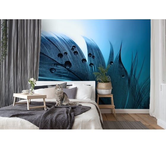 Фотообои 3D Design Studio 3D Перо с каплями росы 400x270 см MC-008_400х270 1
