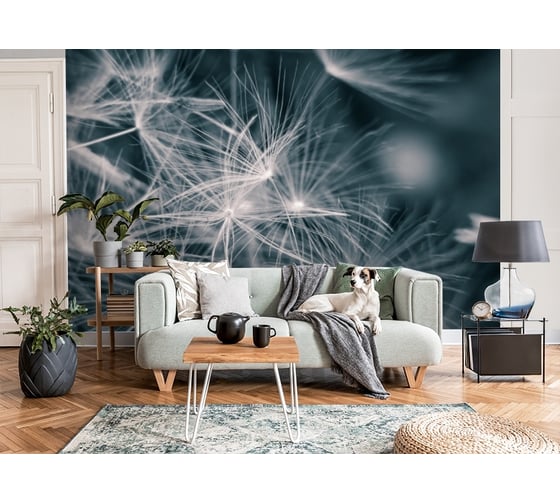 Фотообои 3D Design Studio 3D Нежность в бирюзе 400x270 см MC-006_400х270