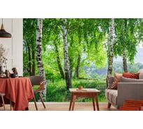 Фотообои 3D Design Studio 3D Березы L001-4-1300x270