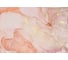 Фотообои ООО Ортограф Peach colour 3.97x2.7 м OF_34043 2