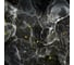 Фотообои ООО Ортограф Constellations 2.99x3 м OF_34195 2