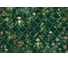 Фотообои ООО Ортограф Garden dark 3.97x2.7 м OF_34241 2
