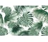 Фотообои 3D Design Studio 3D Листья папоротника 400x270 см TR-006_400х270 3