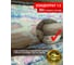 Антисептик для дерева для внутренних работ SAFORA (концентрат 1:5), 5 литров АН03 2