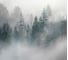 Фотообои флизелиновые Fotooboikin " Лес" 300x270 см fot-74 2