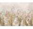 Фотообои флизелиновые Fotooboikin "Пальмовые листья" 400x270 см fot-68 2