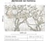 Фотообои Onprint FACTURE TREE LEO БО 4x2,7 м FACTURE TREE LEO бо4х2,7 2