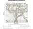 Фотообои Onprint FACTURE TREE LEO ВФ 3x2,7 м FACTURE TREE LEO вф3х2,7 2
