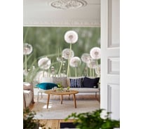 Фотообои "Цветы" Fotooboikin 400x270 см fot-112