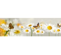 Кухонный фартук Декор Трейдинг Бабочки на ромашках 1000х600 мм Бабочкинаромашках331000х600 мм