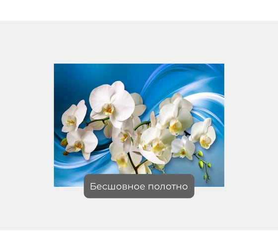 Фотообои цветы "Орхидеи на голубом шелке" 145x100 ШxВ ООО Первое ателье pw140517-1