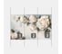 Фотообои 3d абстракции цветы "Объемные большие розы" 300x190 ШxВ ООО Первое ателье pw93983-3 3