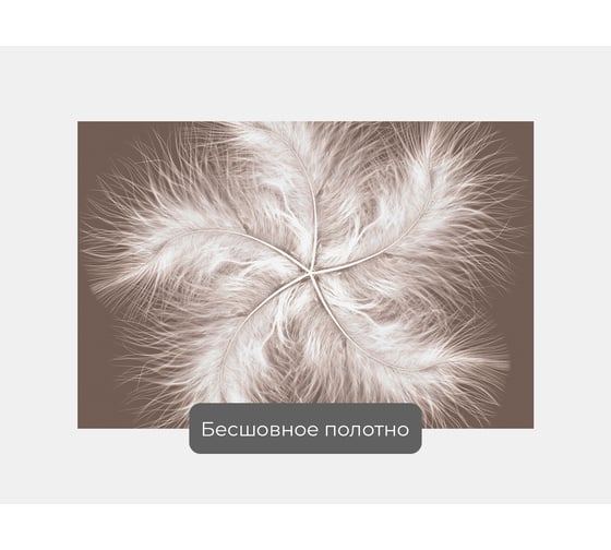 Фотообои абстракции перья "Пять перьев в форме звезды" 150x100 ШxВ ООО Первое ателье pw94012-1