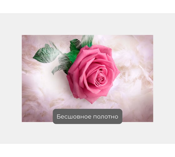 Фотообои перья розы "Роза на перьях" 150x100 ШxВ ООО Первое ателье pw94019-1