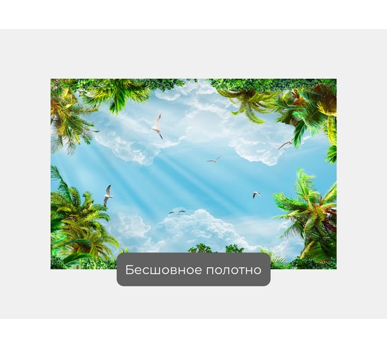 Фотообои птицы "Небо с пальмами и птицами" 150x100 ШxВ ООО Первое ателье pw94529-1