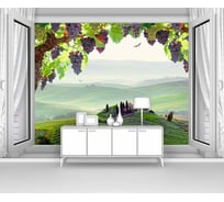 Фотообои окно природа "Виноград в распахнутом окне" 150x100 ШxВ ООО Первое ателье pw95335-1