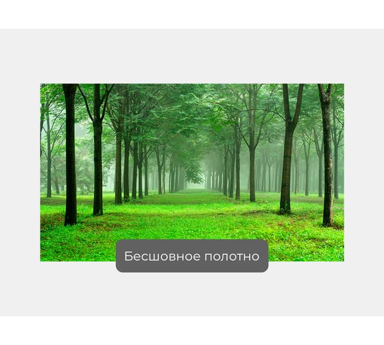 Фотообои "Утренний лес" 170x100 ШxВ ООО Первое ателье pw95284-1