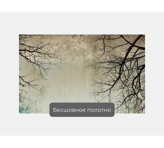 Фотообои дерево "Голые ветки деревьев" 160x100 ШxВ ООО Первое ателье pw95935-1