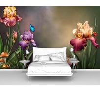 Фотообои цветы "Разноцветные ирисы" 400x250 ШxВ ООО Первое ателье pw96092-4