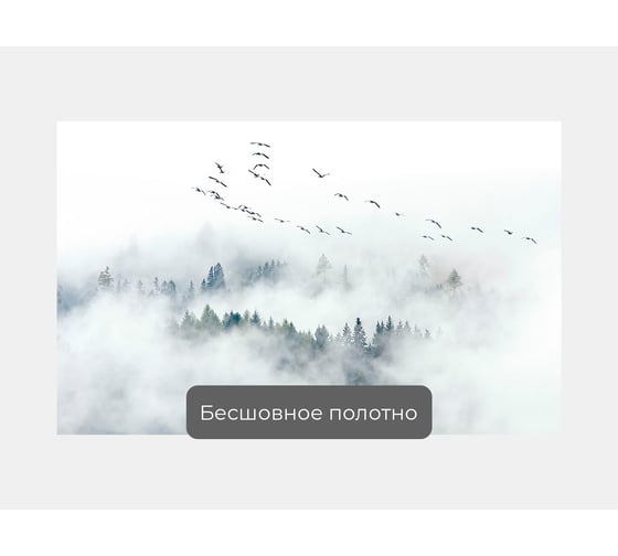 Фотообои лес в тумане "Птицы на туманным лесом" 160x100 ШxВ ООО Первое ателье pw95986-1
