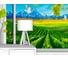 Фотообои природа "Вид из окна на виноградники" 400x250 ШxВ ООО Первое ателье pw96093-4 2