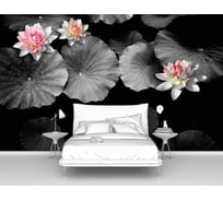 Фотообои абстракции цветы "Лотосы в черно-белом" 400x250 ШxВ ООО Первое ателье pw96688-4