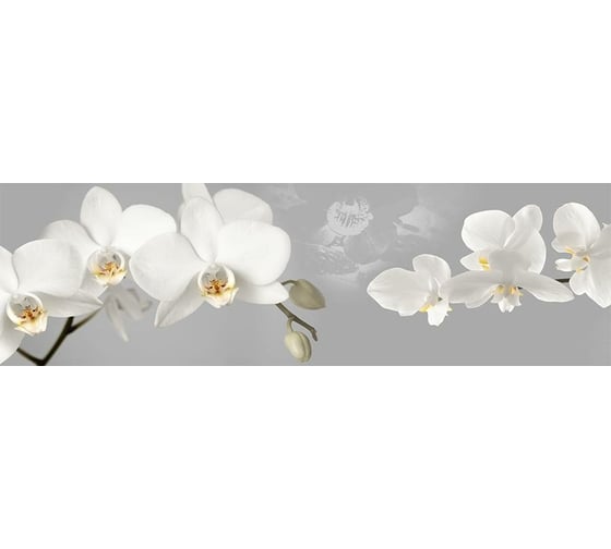 Кухонный фартук Декор Трейдинг Белые орхидеи 1000х600 мм Белыеорхидеи25861000*600мм 1