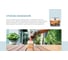 Пропитка Dufa WOOD LASUR бесцветная 9 л МП00-008403 8
