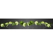Универсальная самоклеящаяся пленка Декор Трейдинг Сочный лайм 9802 2000*600 глянец