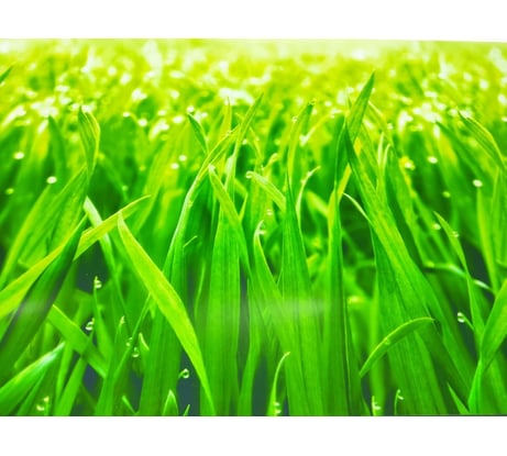 Универсальная самоклеящаяся пленка Декор Трейдинг Трава 3000*600 глянец пленкаТрава3000*600