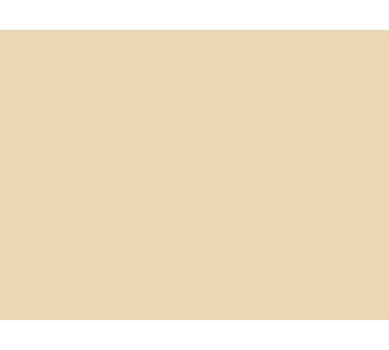 Краска для деревянных поверхностей MALARE Professional (бежевый; 10 кг) 2596393001