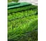 Искусственная трава ComeForte 8 мм, 2x30 м, 1 тон AG-82 4