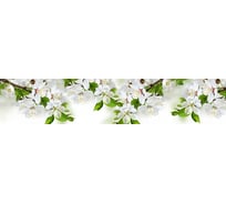 Кухонный фартук Декор Трейдинг Ветка яблони 2070*600*6мм МДФ панель