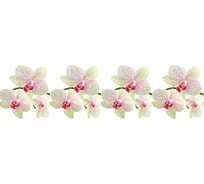 Кухонный фартук Декор Трейдинг Леопардовая орхидея 2070*600*6мм МДФ панель