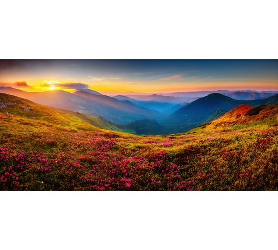Виниловые фотообои на флизелиновой основе PRIMAVERA Летний закат PV-1235-P4