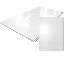 Панель ПВХ Центурион 0,25x2,7 м белая глянец 10 шт. 30035