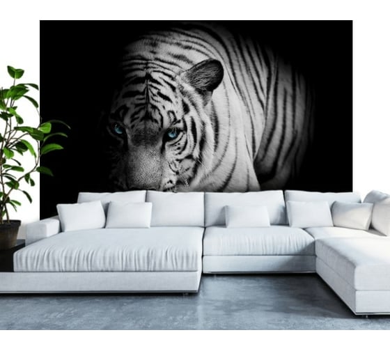 Фотообои DIVINO Голубые глаза, 300x270 см T-074