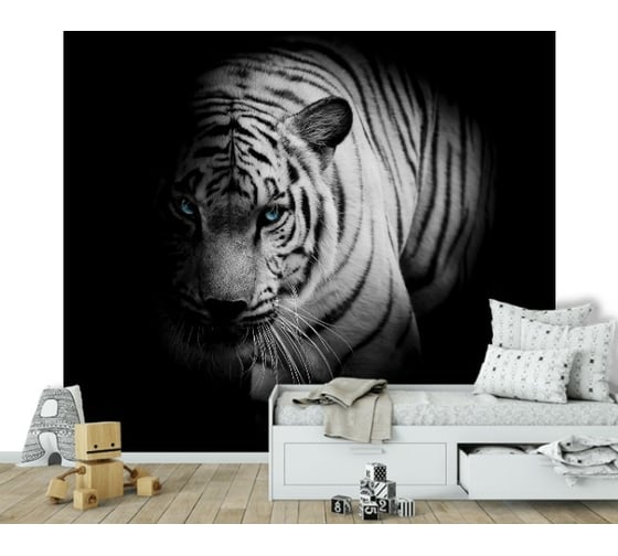 Фотообои DIVINO Голубые глаза, 300x270 см T-074