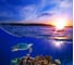 Фотообои DIVINO Морская черепаха, 300x270 см T-153 1