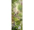 Фотообои DIVINO Тропинка в солнечном лесу 100x270 см Z-020 1