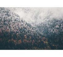 Фотообои DIVINO Осенний туманный лес 400x270 см Z-123