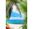 Фотообои DIVINO Пальма у океана 200x270 см Z-129 1