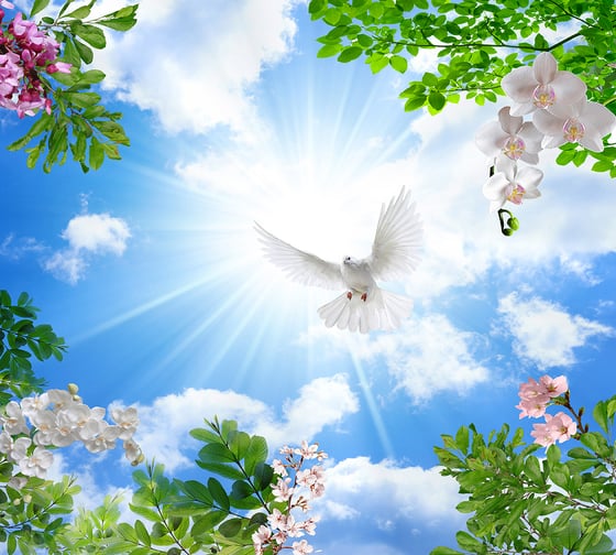 Фотообои DIVINO Солнечное небо, 300x270 см T-234 1