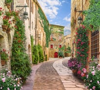Фотообои DIVINO Улочка с цветами, 300x270 см T-255